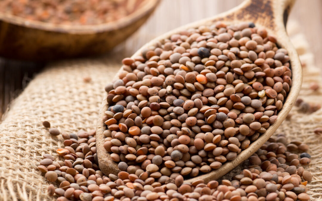 Brown Lentils and Nutrition Facts